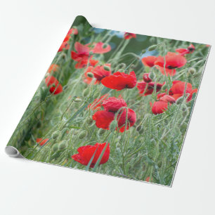 Wilde Mohn Geschenkpapier