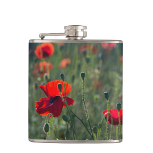 Wilde Mohnflasche Flachmann