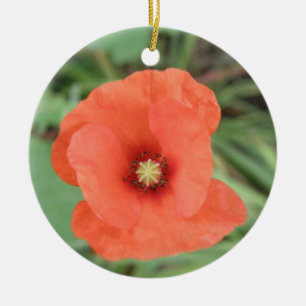 Wilde Mohnschmuck-Blume Keramik Ornament