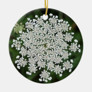 Wilde Möhre - Freude Keramik Ornament