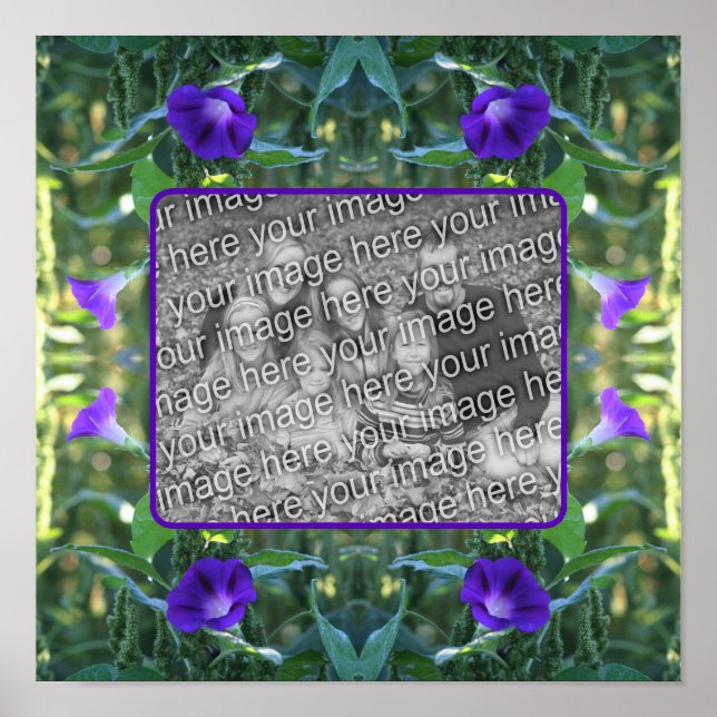 Wilde Morning Glory-Blume ergänzen Ihr Foto Poster (Vorne)