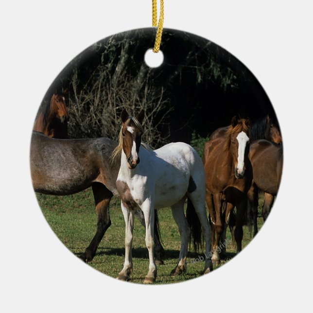 Wilde Mustang-Pferde 1 Keramikornament (Vorne)