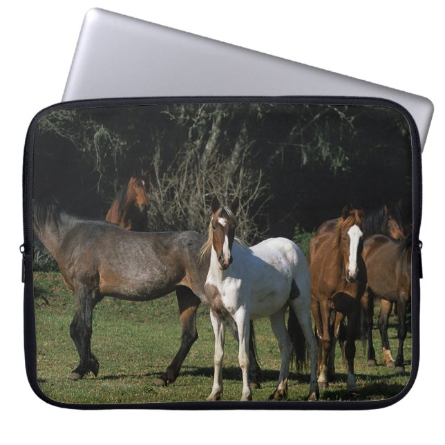 Wilde Mustang-Pferde 1 Laptopschutzhülle (Vorderseite)