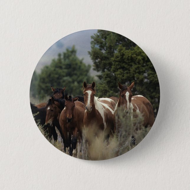 Wilde Mustang-Pferde 2 Button (Vorderseite)