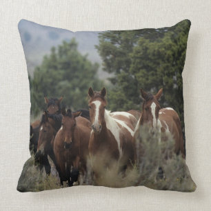 Wilde Mustang-Pferde 2 Kissen