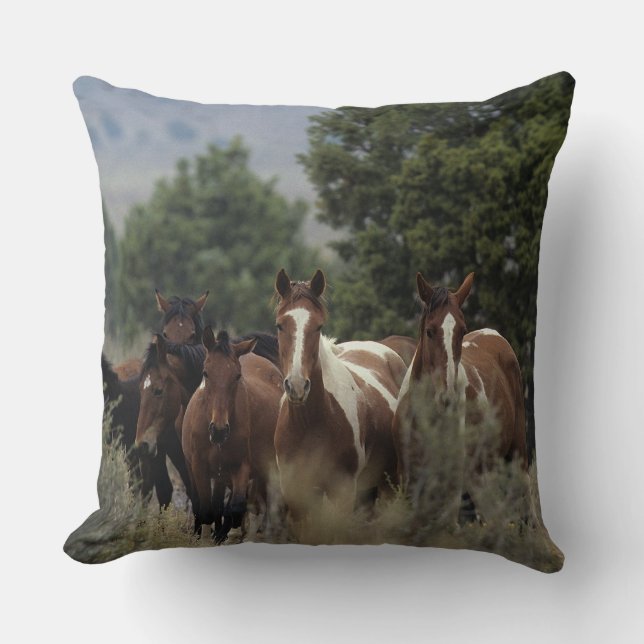 Wilde Mustang-Pferde 2 Kissen (Vorderseite)