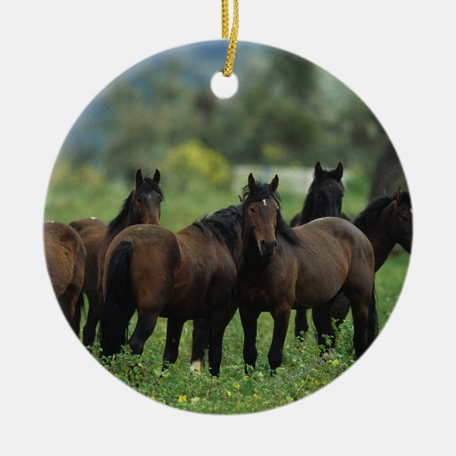 Wilde Mustang-Pferde 3 Keramikornament (Vorne)