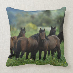 Wilde Mustang-Pferde 3 Kissen