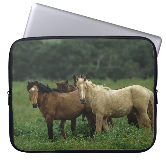 Wilde Mustang-Pferde 4 Laptopschutzhülle (Vorderseite)