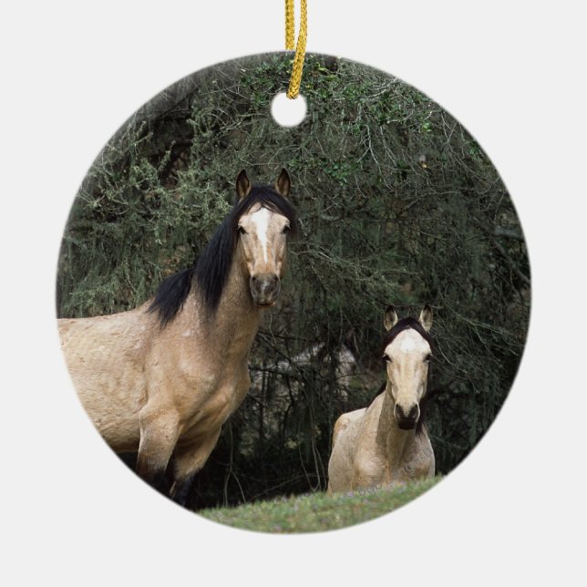 Wilde Mustang-Pferde 6 Keramik Ornament (Vorne)