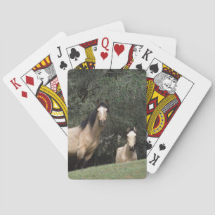 Wilde Mustang-Pferde 6 Spielkarten