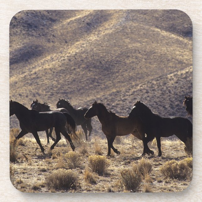 Wilde Mustang-Pferde in der Wüste 1 Getränkeuntersetzer (Vorderseite)