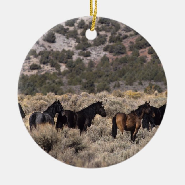 Wilde Mustang-Pferde in der Wüste 2 Keramikornament (Vorne)