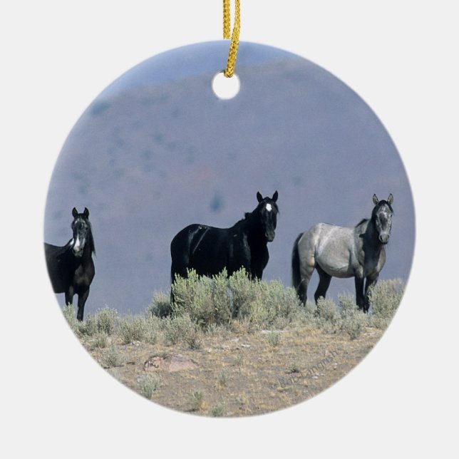 Wilde Mustang-Pferde in der Wüste 3 Keramik Ornament (Vorne)