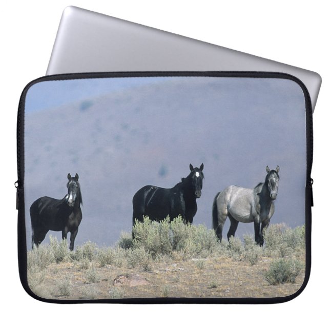 Wilde Mustang-Pferde in der Wüste 3 Laptopschutzhülle (Vorderseite)