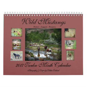 Wilde Mustangs 2017 Kalender