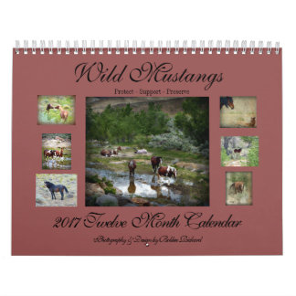 Wilde Mustangs 2017 Kalender