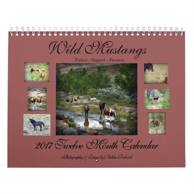 Wilde Mustangs 2017 Kalender (Titelbild)