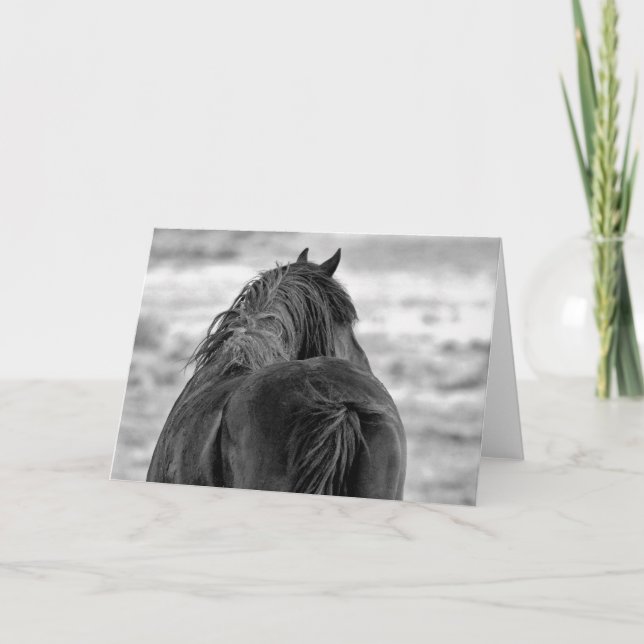 Wilde Mustangs aus dem Westen Karte (Vorderseite)