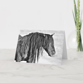 Wilde Mustangs aus dem Westen Karte