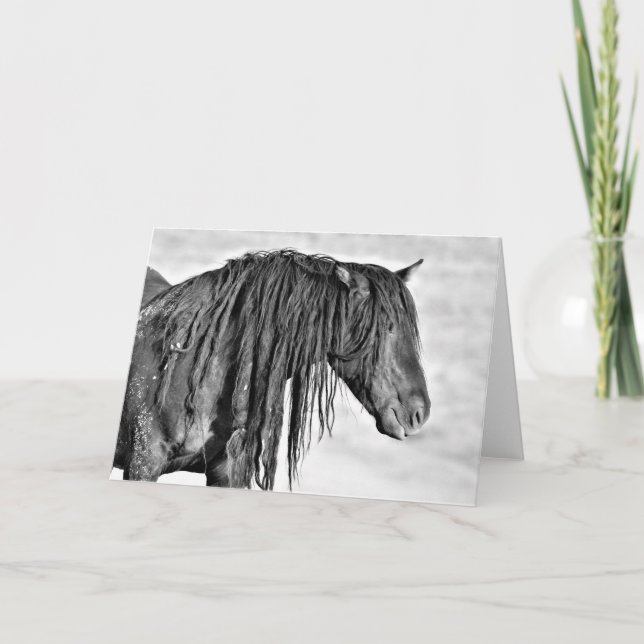 Wilde Mustangs aus dem Westen Karte (Vorderseite)