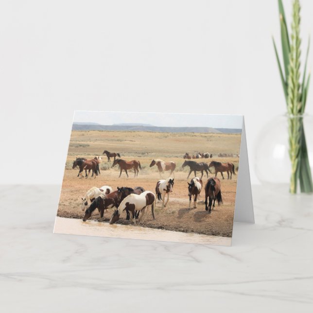 Wilde Mustangs aus dem Westen Karte (Vorderseite)