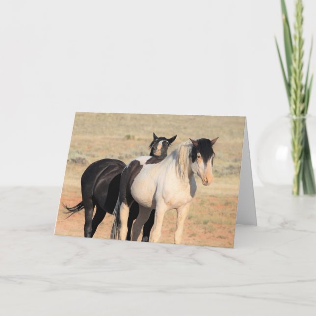 Wilde Mustangs aus dem Westen Karte (Vorderseite)