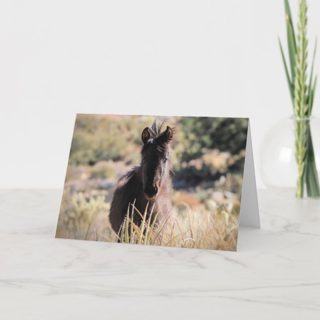 Wilde Mustangs aus dem Westen Karte (Vorderseite)