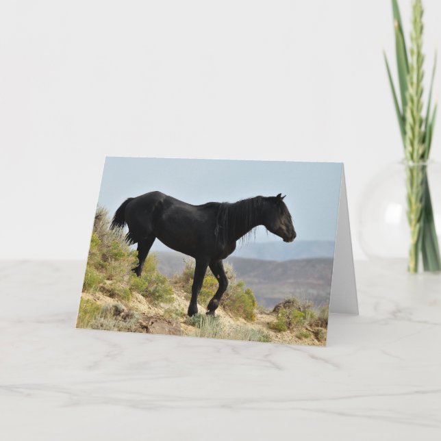 Wilde Mustangs aus dem Westen Karte (Vorderseite)