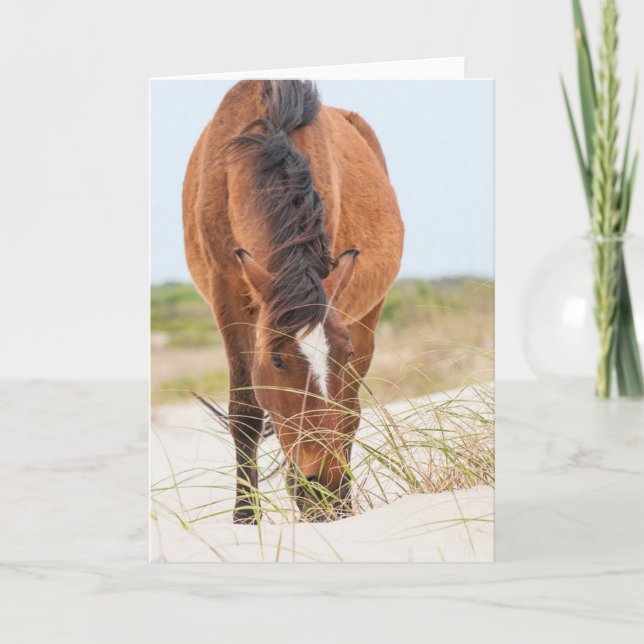 Wilde Mustangs oder Bankerpferde Karte (Vorderseite)