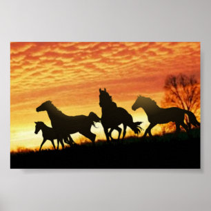 Wilde Mustangs Poster