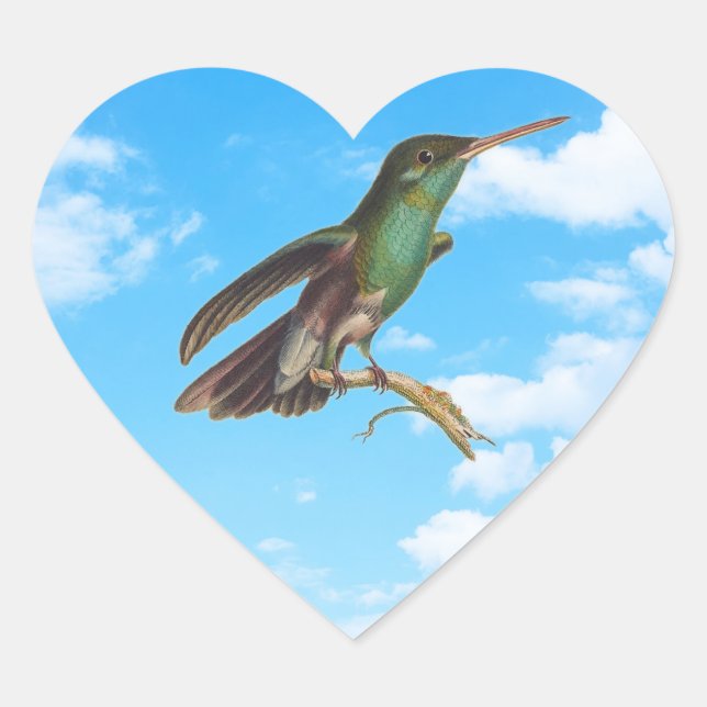 Wilde Natur I Liebe Hummingbirds Herz-Aufkleber (Vorderseite)