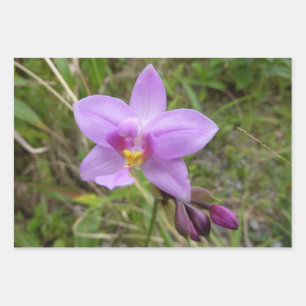 Wilde Orchidee Lila Tropische Blume Geschenkpapier Set