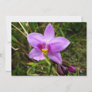 Wilde Orchidee Lila Tropische Blume Karte