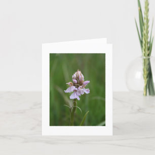 Wilde Orchidee Notecard Karte