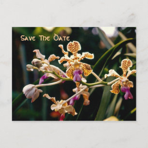 Wilde Orchidee Save The Date Postkarte