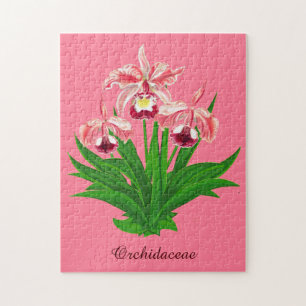 Wilde Orchideen - Korallenrosa Orchideen und Laub