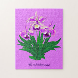 Wilde Orchideen - Lila Orchideen und Foliage
