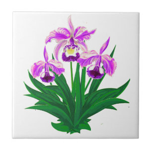 Wilde Orchideen - Lila Orchideen und Foliage Fliese