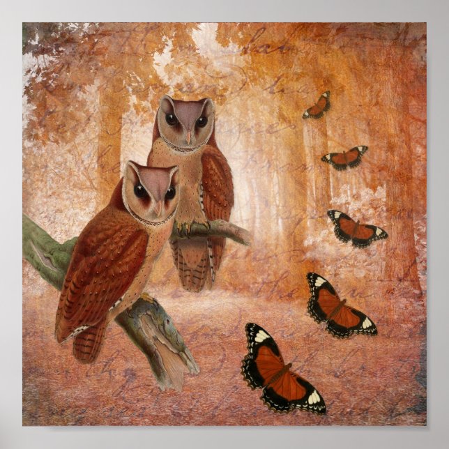 Wilde Owls und Schmetterlinge Poster (Vorne)