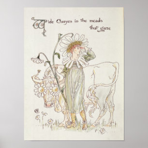 Wilde Oxeyes in Meads that Gaze Poster