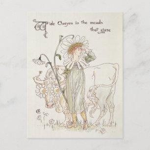 Wilde Oxeyes in Meads that Gaze Postkarte