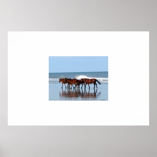 Wilde Pferde am Strand Poster (Vorne)