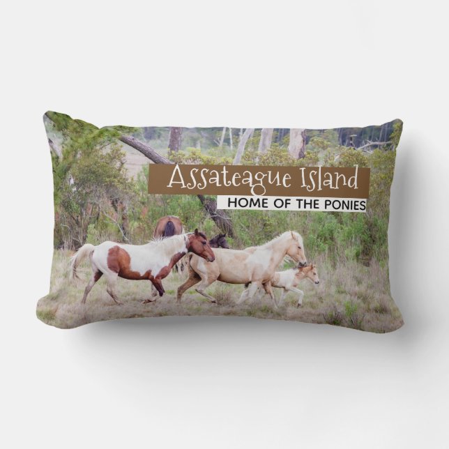 Wilde Pferde - Assateague Insel Lendenkissen (Vorderseite)