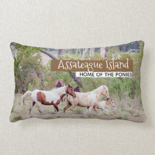 Wilde Pferde - Assateague Insel Lendenkissen
