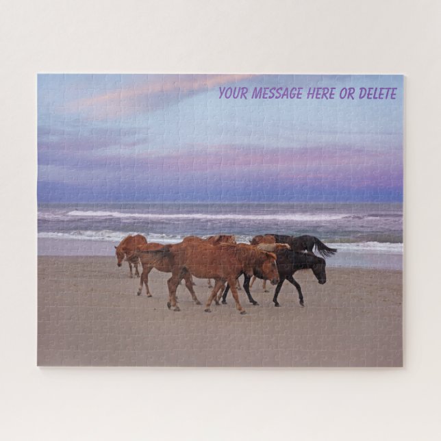 Wilde Pferde Außenbanks OBX Corolla NC (Horizontal)