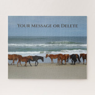 Wilde Pferde Außenbanks OBX Corolla NC