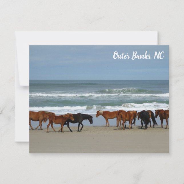 Wilde Pferde Außenbanks OBX Corolla NC Mitteilungskarte (Vorderseite)