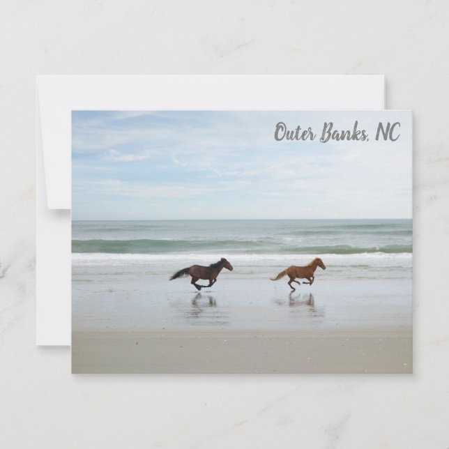 Wilde Pferde Außenbanks OBX Corolla NC Mitteilungskarte (Vorderseite)