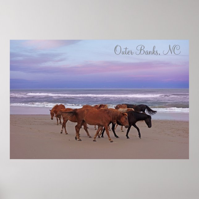 Wilde Pferde Außenbanks OBX Corolla NC Poster (Vorne)